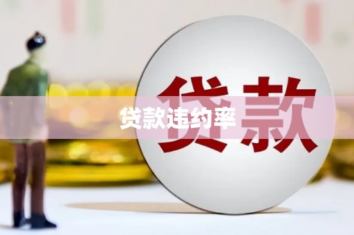 邗江贷款违约率