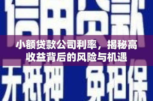 邗江小额贷款公司利率，揭秘高收益背后的风险与机遇