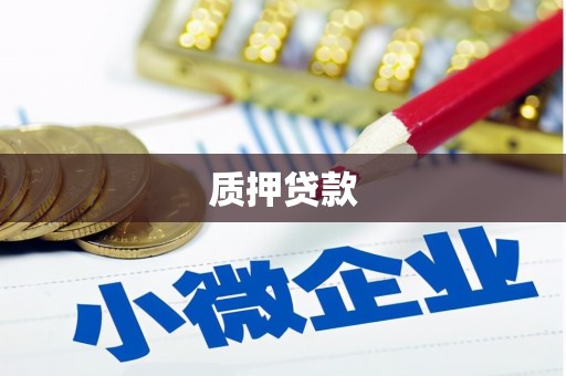 邗江质押贷款