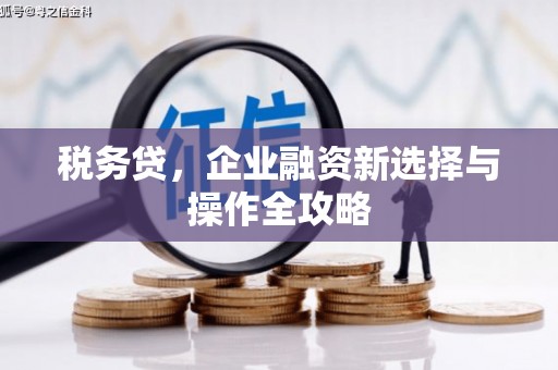 邗江税务贷，企业融资新选择与操作全攻略