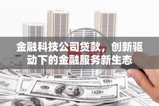 邗江金融科技公司贷款，创新驱动下的金融服务新生态
