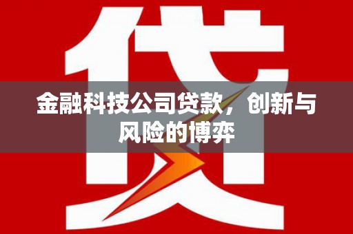 邗江金融科技公司贷款，创新与风险的博弈