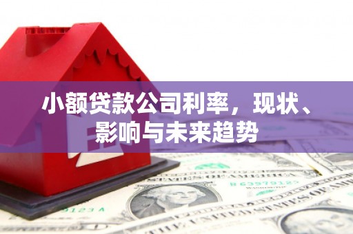 邗江小额贷款公司利率，现状、影响与未来趋势