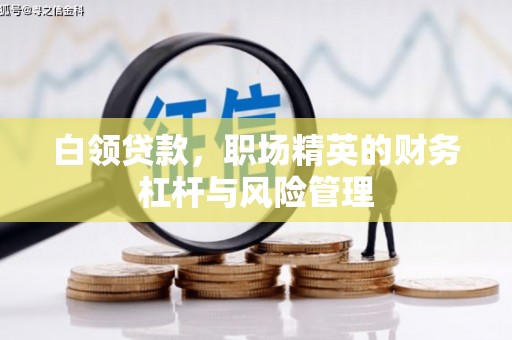 邗江白领贷款，职场精英的财务杠杆与风险管理