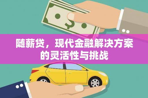 邗江随薪贷，现代金融解决方案的灵活性与挑战