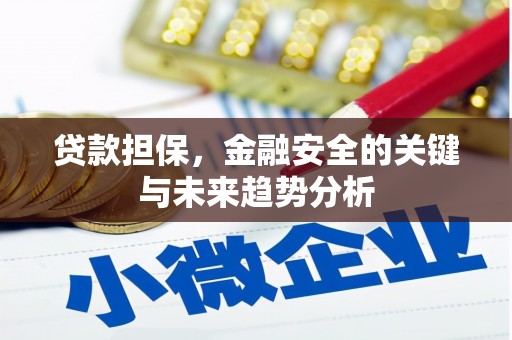 邗江贷款担保，金融安全的关键与未来趋势分析