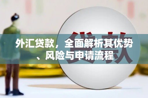 邗江外汇贷款，全面解析其优势、风险与申请流程