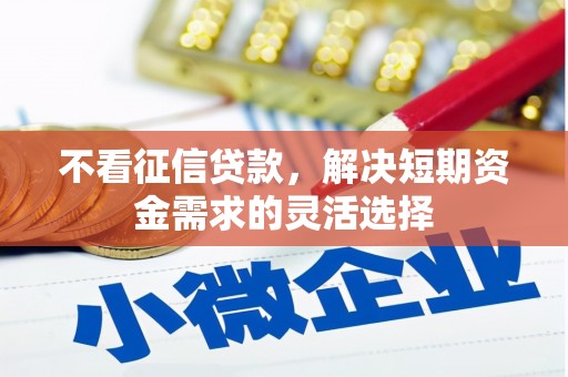 邗江不看征信贷款，解决短期资金需求的灵活选择