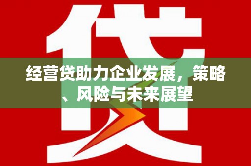 邗江经营贷助力企业发展，策略、风险与未来展望