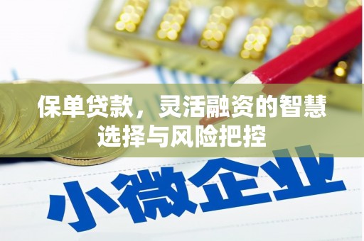 邗江保单贷款，灵活融资的智慧选择与风险把控