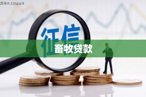 邗江畜牧贷款