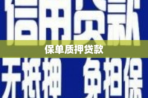 邗江保单质押贷款