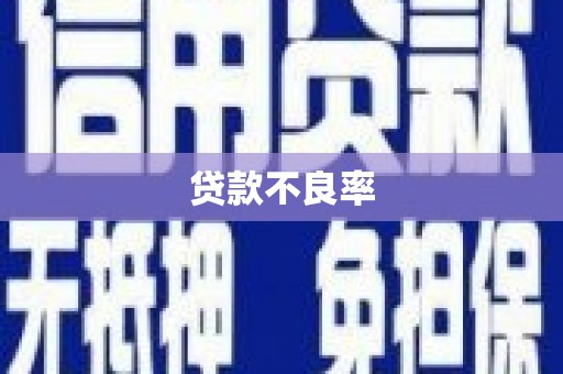 邗江贷款不良率