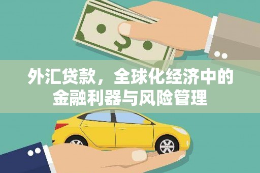 邗江外汇贷款，全球化经济中的金融利器与风险管理
