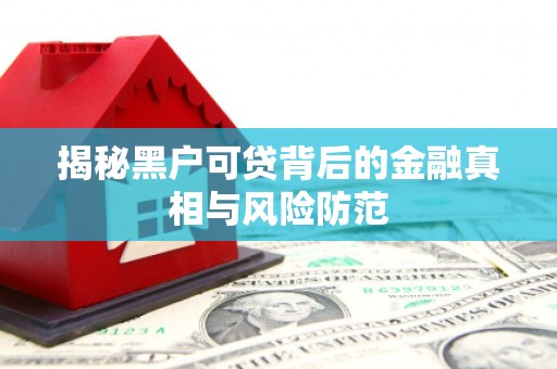 邗江揭秘黑户可贷背后的金融真相与风险防范
