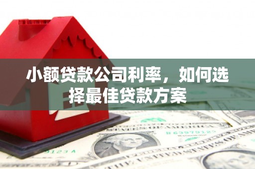邗江小额贷款公司利率，如何选择最佳贷款方案