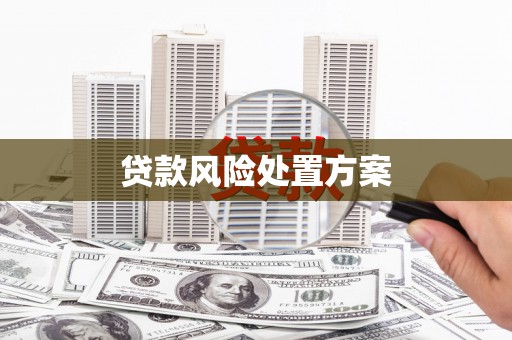 邗江贷款风险处置方案