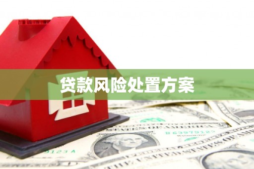 邗江贷款风险处置方案