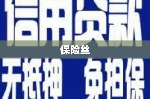 邗江保险丝