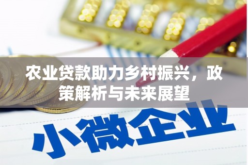 邗江农业贷款助力乡村振兴，政策解析与未来展望