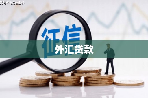 邗江外汇贷款