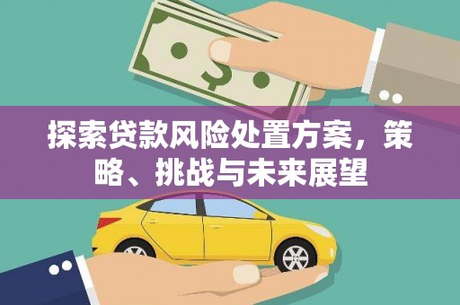 邗江探索贷款风险处置方案，策略、挑战与未来展望