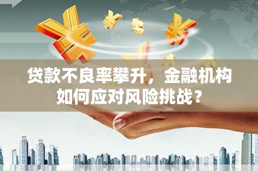 邗江贷款不良率攀升，金融机构如何应对风险挑战？