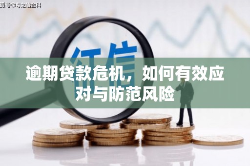 邗江逾期贷款危机，如何有效应对与防范风险