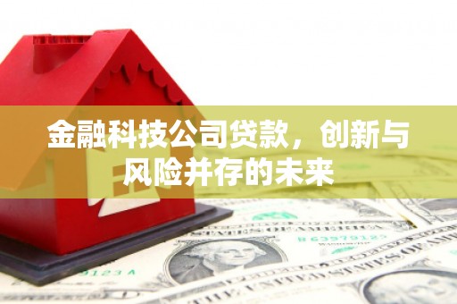 邗江金融科技公司贷款，创新与风险并存的未来