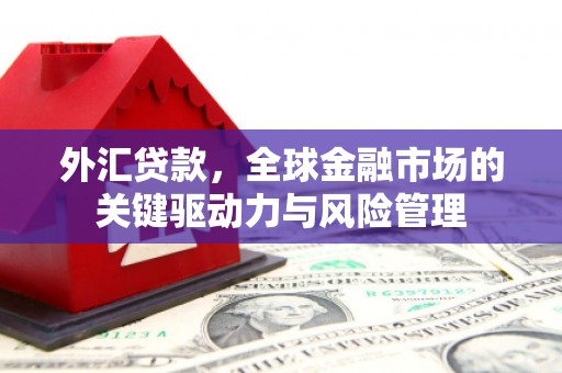 邗江外汇贷款，全球金融市场的关键驱动力与风险管理