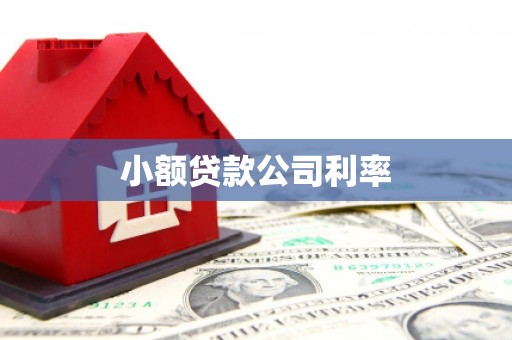 邗江小额贷款公司利率