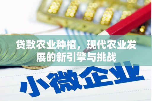 邗江贷款农业种植，现代农业发展的新引擎与挑战