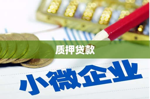 邗江质押贷款