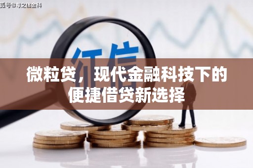 邗江微粒贷，现代金融科技下的便捷借贷新选择