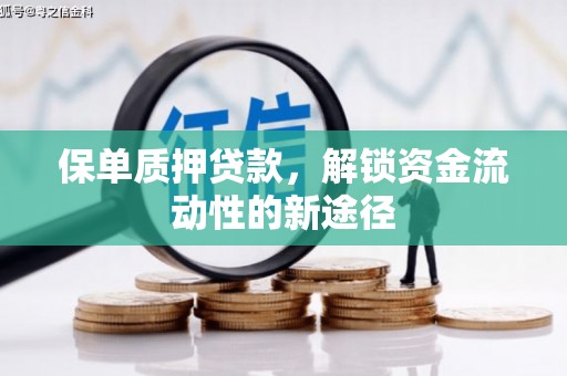 邗江保单质押贷款，解锁资金流动性的新途径