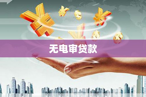 邗江无电审贷款