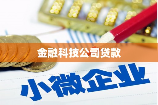 邗江金融科技公司贷款