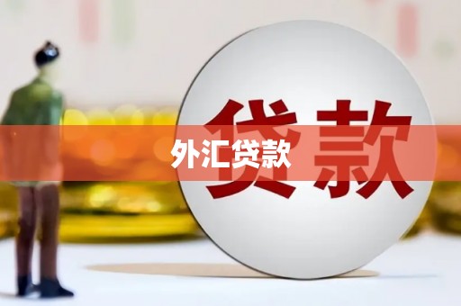 邗江外汇贷款