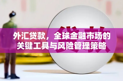 邗江外汇贷款，全球金融市场的关键工具与风险管理策略