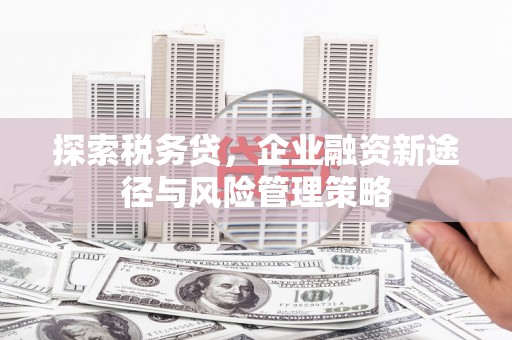 邗江探索税务贷，企业融资新途径与风险管理策略
