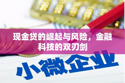 邗江现金贷的崛起与风险，金融科技的双刃剑