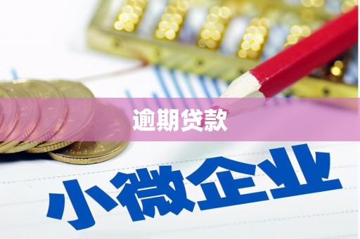 邗江逾期贷款