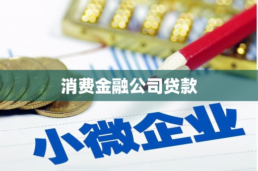 邗江消费金融公司贷款