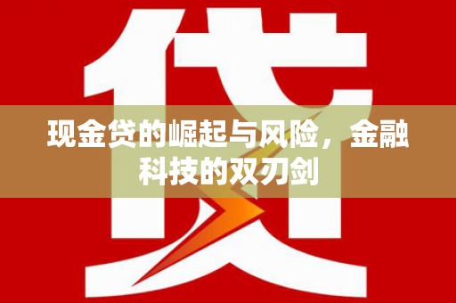 邗江现金贷的崛起与风险，金融科技的双刃剑