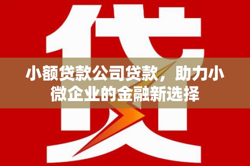 邗江小额贷款公司贷款，助力小微企业的金融新选择