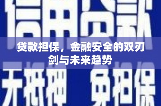 邗江贷款担保，金融安全的双刃剑与未来趋势