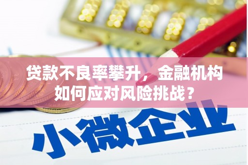 邗江贷款不良率攀升，金融机构如何应对风险挑战？
