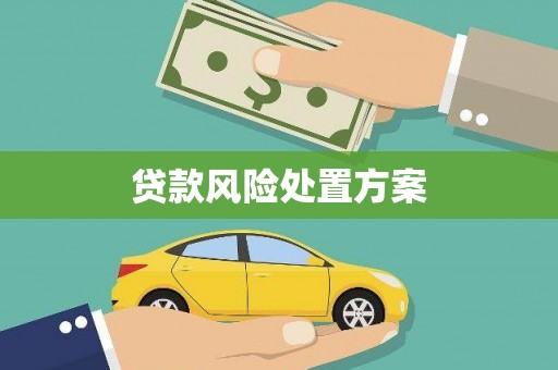 邗江贷款风险处置方案