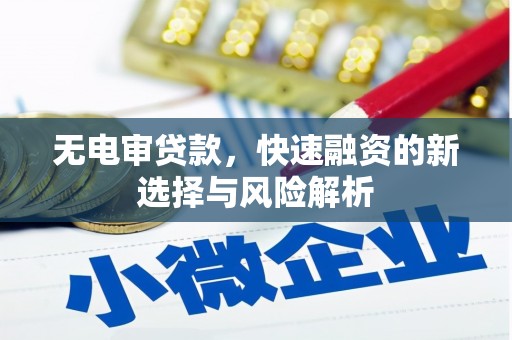 邗江无电审贷款，快速融资的新选择与风险解析