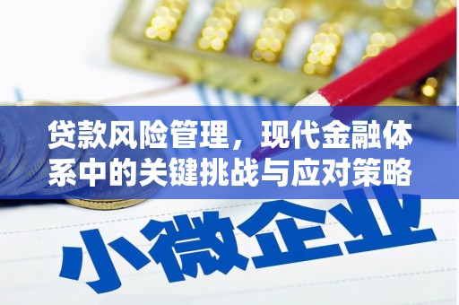 邗江贷款风险管理，现代金融体系中的关键挑战与应对策略